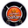 Puneri Paltan